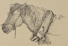 Severin Falkman: Kotieläimiä, 1880